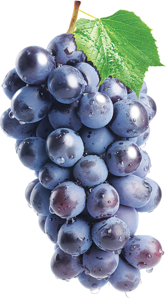 black-grape